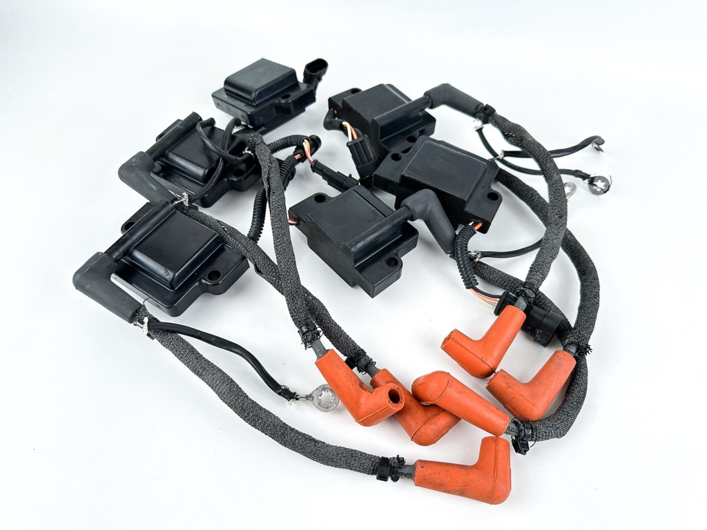 2014 Evinrude 200 HP 2 Stroke Outboard Ignition Coil Set 0586980 OEM