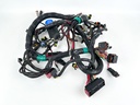 2014 Evinrude 200 HP 2 Stroke Outboard Engine Wire Harness 0587041 OEM