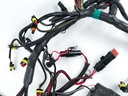 2014 Evinrude 200 HP 2 Stroke Outboard Engine Wire Harness 0587041 OEM