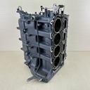 2003 Yamaha 80HP 4 Stroke Outboard Crankcase Assembly 67F-15100-04-00 - Parts / Repair