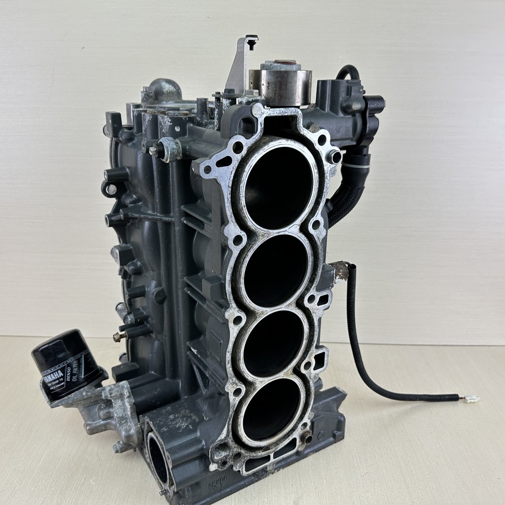 2015 Yamaha 115HP 4 Stroke Outboard Powerhead Crankcase Complete 6EK-W009B-02-9S