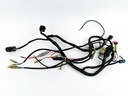 2001 Yamaha 115 HP 2 Stroke Outboard Engine Wire Harness 6N7-82590-14-00 OEM
