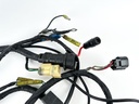 2001 Yamaha 115 HP 2 Stroke Outboard Engine Wire Harness 6N7-82590-14-00 OEM