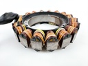 2008 Evinrude 200 HP 2 Stroke Outboard Stator Assembly 0586948 OEM