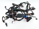 2008 Evinrude 200 HP 2 Stroke Outboard Engine Wire Harness 0586898 OEM