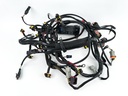 2008 Evinrude 200 HP 2 Stroke Outboard Engine Wire Harness 0586898 OEM