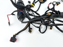 2008 Evinrude 200 HP 2 Stroke Outboard Engine Wire Harness 0586898 OEM