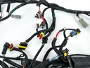 2008 Evinrude 200 HP 2 Stroke Outboard Engine Wire Harness 0586898 OEM