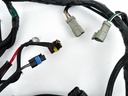 2008 Evinrude 200 HP 2 Stroke Outboard Engine Wire Harness 0586898 OEM