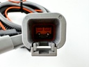 Lenco 30321-001 123 LED Trim Tab Control Switch Assembly 15170-001 Replacement Tested
