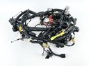 2007 Yamaha 250 HP 4 Stroke Outboard Engine Wire Harness 6P2-82590-30-00 OEM