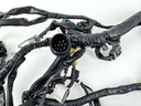 2007 Yamaha 250 HP 4 Stroke Outboard Engine Wire Harness 6P2-82590-30-00 OEM