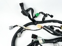 2007 Yamaha 250 HP 4 Stroke Outboard Engine Wire Harness 6P2-82590-30-00 OEM
