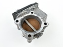 2009 Yamaha 250 HP 4 Stroke Outboard Throttle Body Assembly 6P2-13750-00-00 OEM