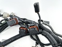 2009 Yamaha 250 HP 4 Stroke Outboard Engine Wire Harness 6BR-82590-00-00 OEM