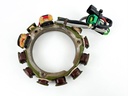 2004 Yamaha 90 HP 2 Stroke Outboard Stator Assembly 6H0-85510-03-00 OEM