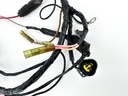 2004 Yamaha 90 HP 2 Stroke Outboard Engine Wire Harness 6H0-82590-80-00 OEM