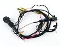 2004 Yamaha 90 HP 2 Stroke Outboard Engine Wire Harness 6H0-82590-80-00 OEM