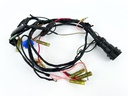 2004 Yamaha 90 HP 2 Stroke Outboard Engine Wire Harness 6H0-82590-80-00 OEM