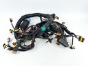 2014 Evinrude 300 HP 2 Stroke Outboard Engine Wire Harness 0587117 Parts