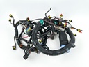 2014 Evinrude 300 HP 2 Stroke Outboard Engine Wire Harness 0587117 Parts