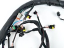 2014 Evinrude 300 HP 2 Stroke Outboard Engine Wire Harness 0587117 Parts