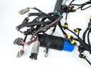 2014 Evinrude 300 HP 2 Stroke Outboard Engine Wire Harness 0587117 Parts