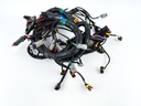 2013 Evinrude 250 HP 2 Stroke Outboard Engine Wire Harness 0587041 OEM
