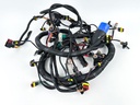 2013 Evinrude 250 HP 2 Stroke Outboard Engine Wire Harness 0587041 OEM