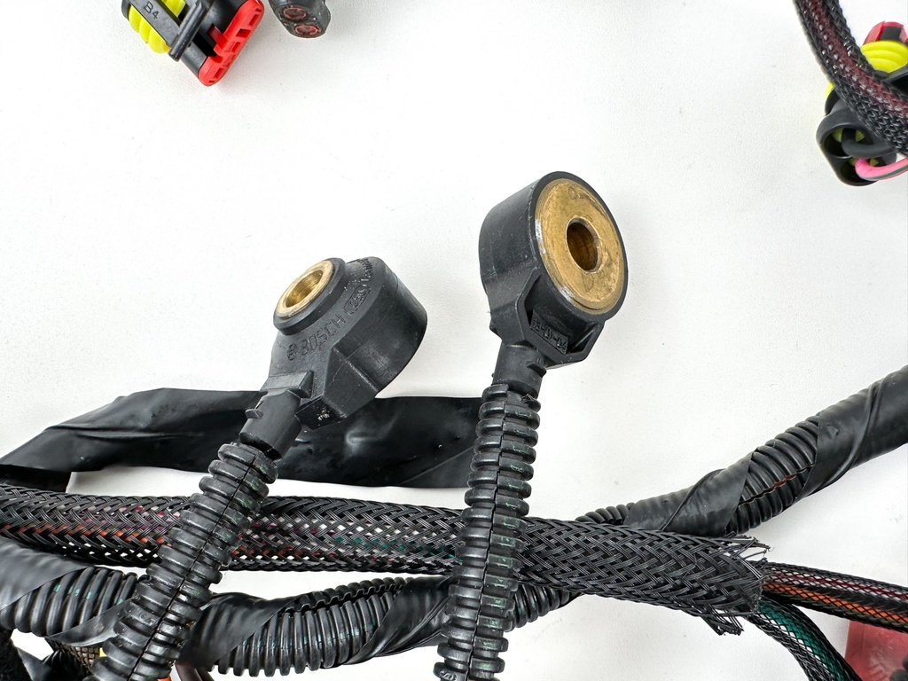 2013 Evinrude 250 HP 2 Stroke Outboard Engine Wire Harness 0587041 OEM