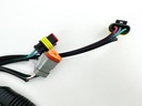 2013 Evinrude 250 HP 2 Stroke Outboard Engine Wire Harness 0587041 OEM