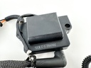 2013 Evinrude 250 HP 2 Stroke Outboard Ignition Coil Set 0587275 OEM