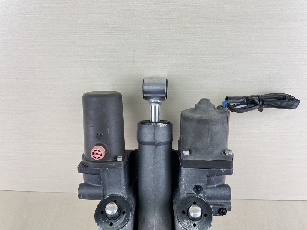 2004 - 2011 Suzuki 200 225 250 Outboard Power Trim & Tilt Unit Assembly 48500-93J05