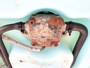 Yamaha Outboard Remote 2 Stroke Oil Tank Assembly With Pump 2.8 Gallons