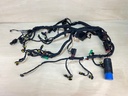 Evinrude Etec G2 150 - 200HP Outboard Engine Wiring Harness Assembly 0587320