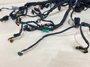 Evinrude Etec G2 150 - 200HP Outboard Engine Wiring Harness Assembly 0587320