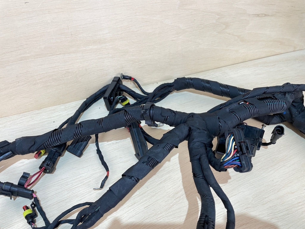 Evinrude Etec G2 150 - 200HP Outboard Engine Wiring Harness Assembly 0587320