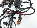 2018 Suzuki 200 HP 4 Stroke Outboard Engine Wire Harness 36610-96L61 OEM
