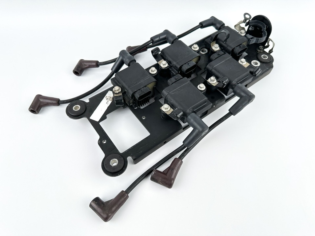 2014 Mercury 250 HP 2 Stroke Outboard Ignition Coil Set W/ Plate 879984A1 OEM