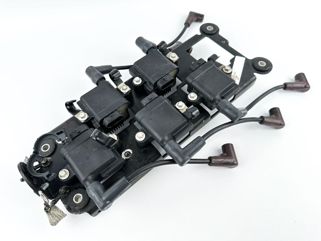 2014 Mercury 250 HP 2 Stroke Outboard Ignition Coil Set W/ Plate 879984A1 OEM