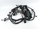 2015 Mercury 250 HP 2 Stroke Outboard Engine Wire Harness 8M0065142 OEM