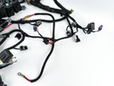2015 Mercury 250 HP 2 Stroke Outboard Engine Wire Harness 8M0065142 OEM