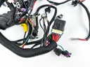 2015 Mercury 250 HP 2 Stroke Outboard Engine Wire Harness 8M0065142 OEM