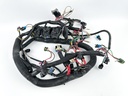 2005 Mercury 225 HP 2 Stroke Outboard Engine Wire Harness 878082T8 OEM