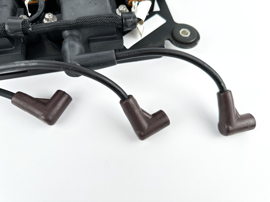 2015 Mercury 250 HP 2 Stroke Outboard Ignition Coil Set W/ Plate 879984A1 OEM