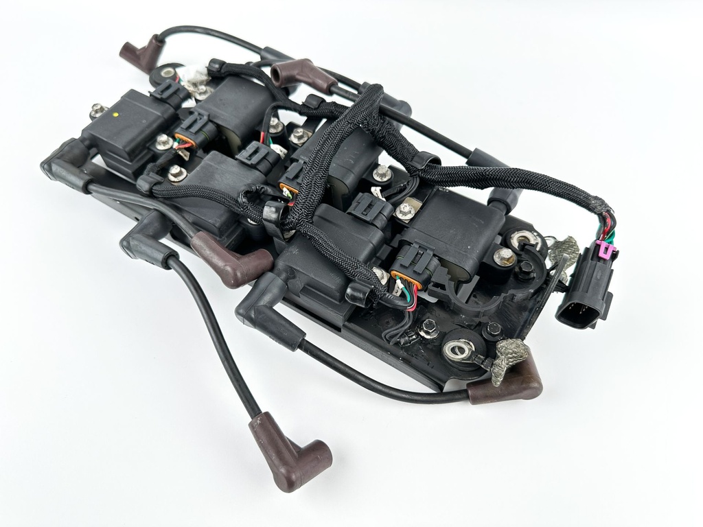 2015 Mercury 250 HP 2 Stroke Outboard Ignition Coil Set W/ Plate 879984A1 OEM