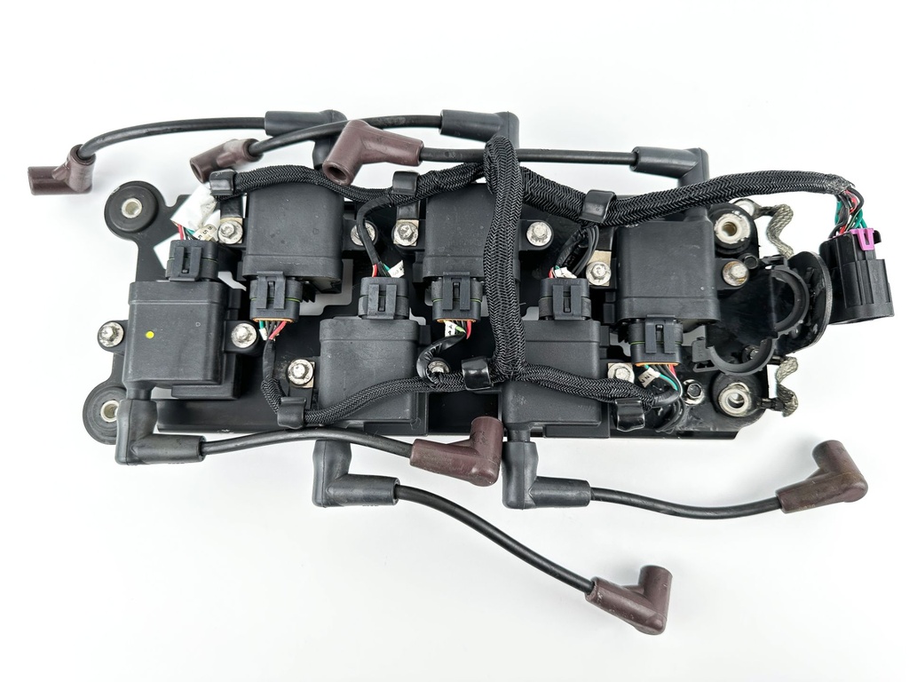 2015 Mercury 250 HP 2 Stroke Outboard Ignition Coil Set W/ Plate 879984A1 OEM