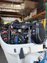 2019 Evinrude Etec 115HP 2 Stroke Outboard Engine 20" - 184 Hours