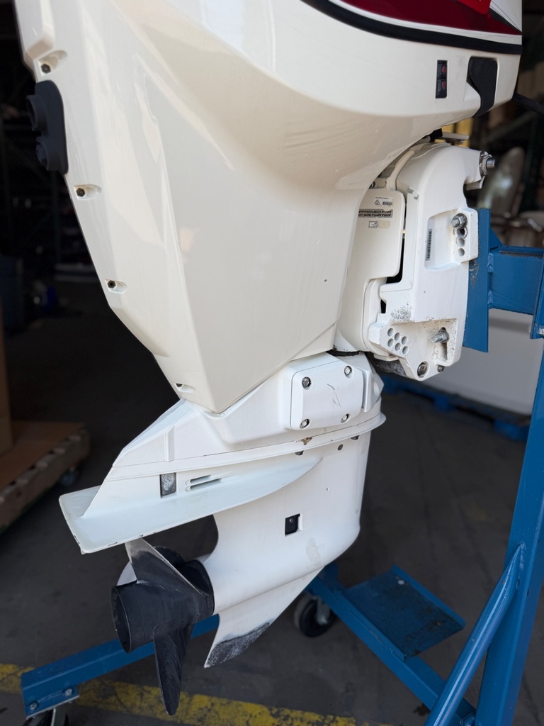 2019 Evinrude Etec 115HP 2 Stroke Outboard Engine 20" - 184 Hours