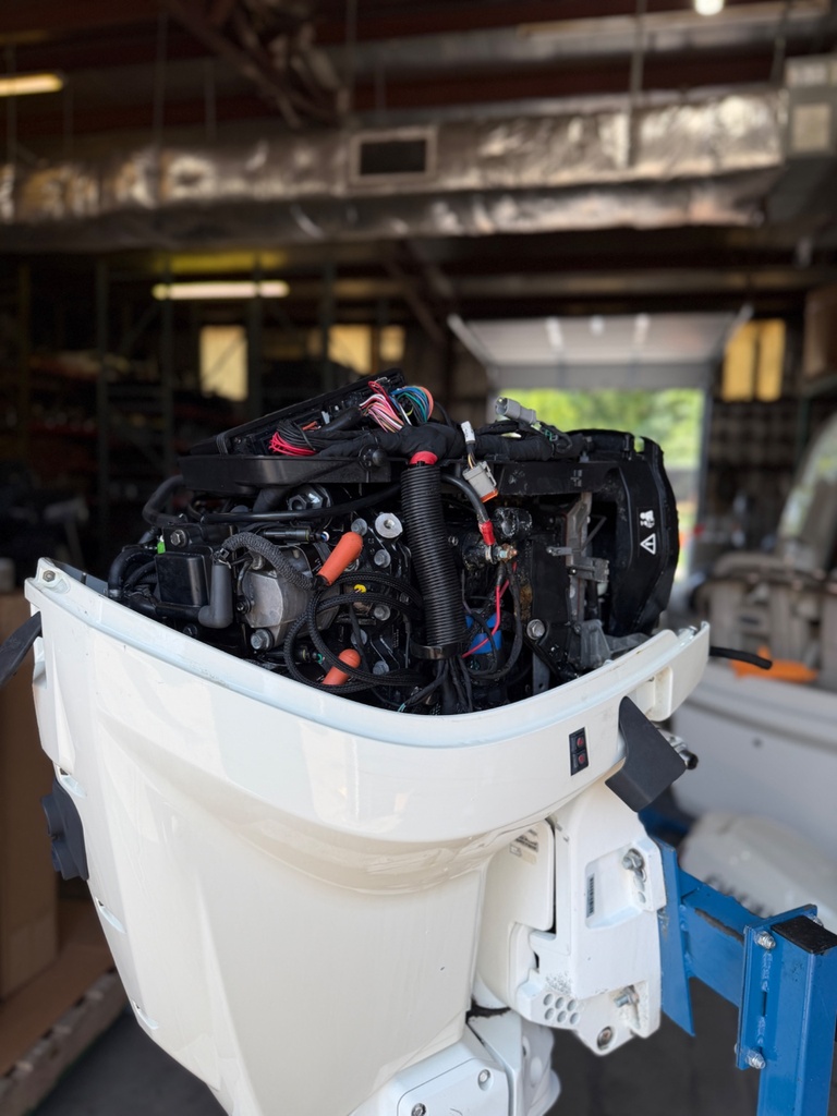 2019 Evinrude Etec 115HP 2 Stroke Outboard Engine 20" - 184 Hours